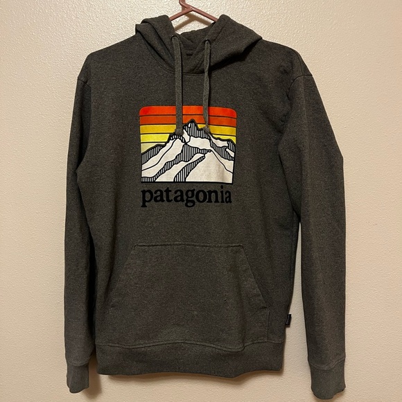 Patagonia hoodie - Picture 1 of 3